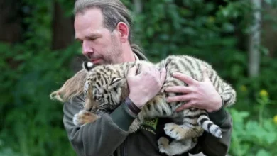 tierpfleger zoo leipzig gestorben